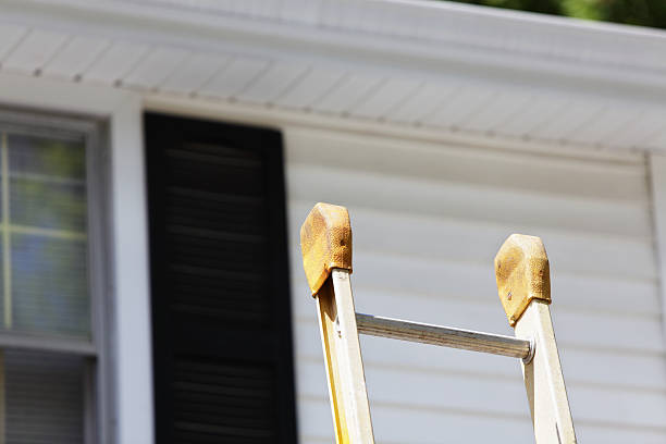 Best Shed Removal  in Paintsville, KY